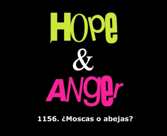 1156. ¿MOSCAS O ABEJAS?